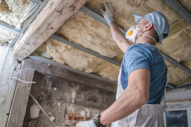Types of Insulation We Offer in Rainier, OR