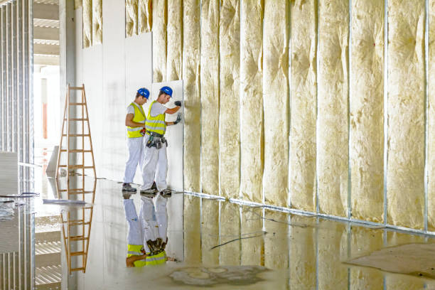 Best Cellulose Insulation in Rainier, OR